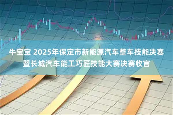 牛宝宝 2025年保定市新能源汽车整车技能决赛暨长城汽车能工巧匠技能大赛决赛收官