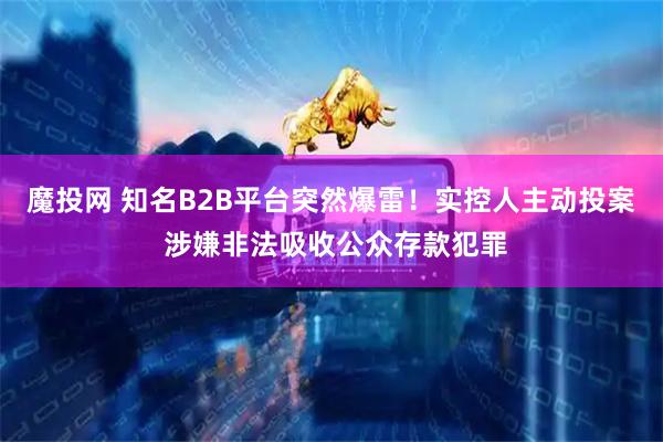 魔投网 知名B2B平台突然爆雷！实控人主动投案 涉嫌非法吸收公众存款犯罪