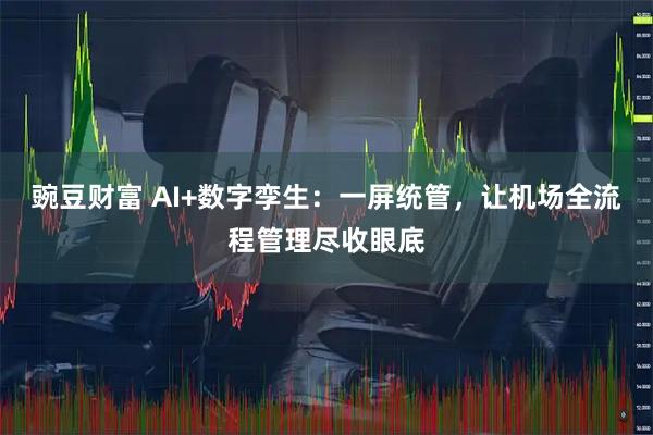 豌豆财富 AI+数字孪生:一屏统管,让机场全流程管理尽收眼底