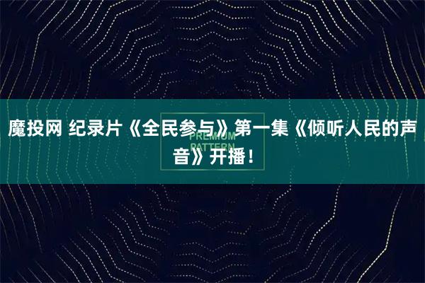 魔投网 纪录片《全民参与》第一集《倾听人民的声音》开播！